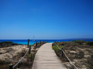 Plan de circularidad en hoteles de las Islas Baleares